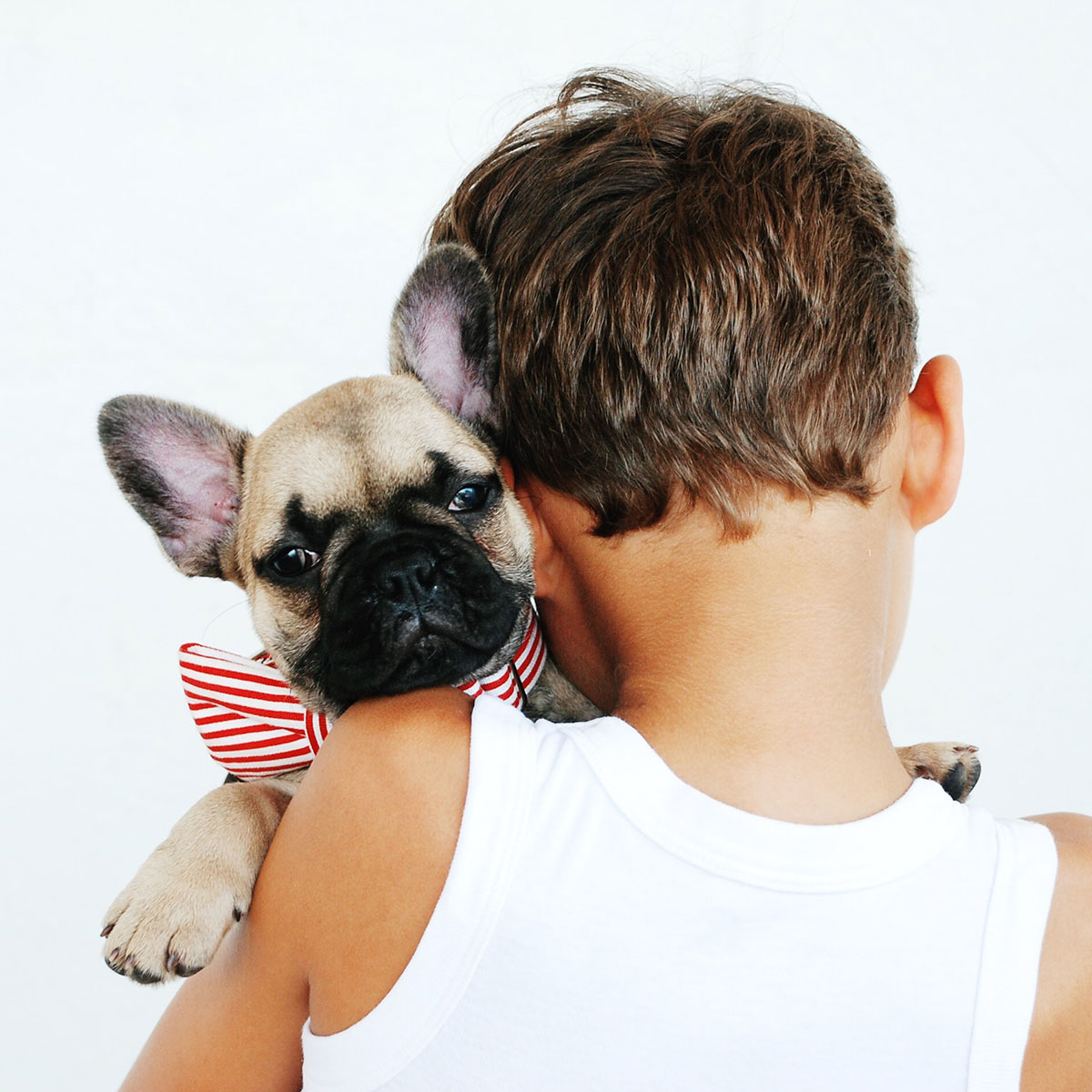 Child Holding a Dog